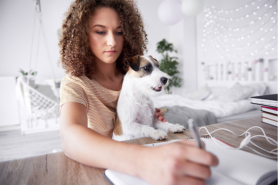 3 Tips for Working from Home With Your Pet