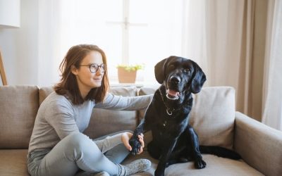 Professional Pet Sitters Week
