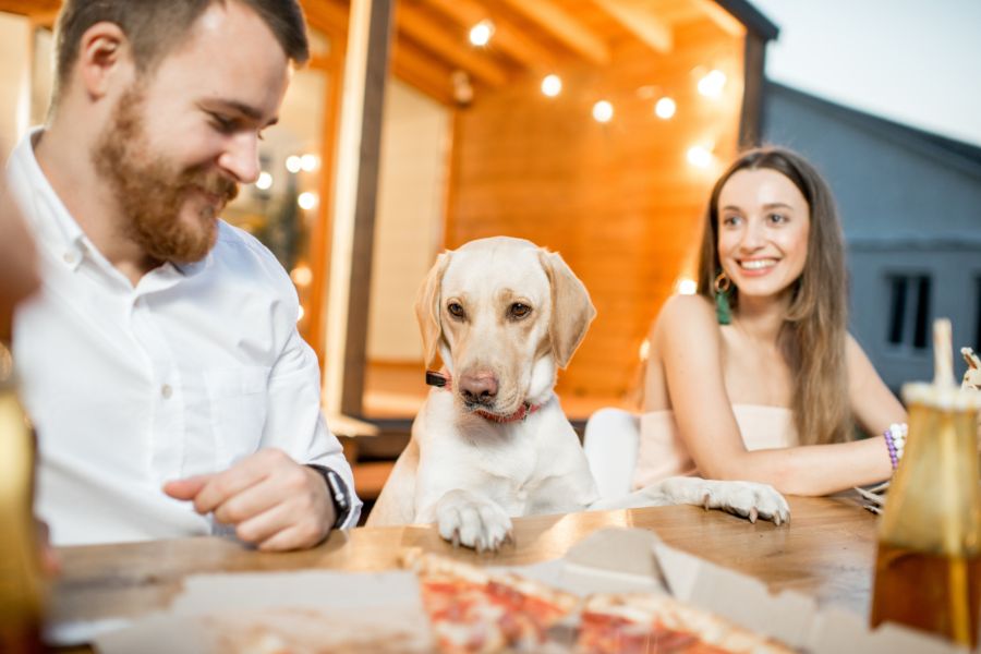 Where to Dine with Your Furry Friends in Austin
