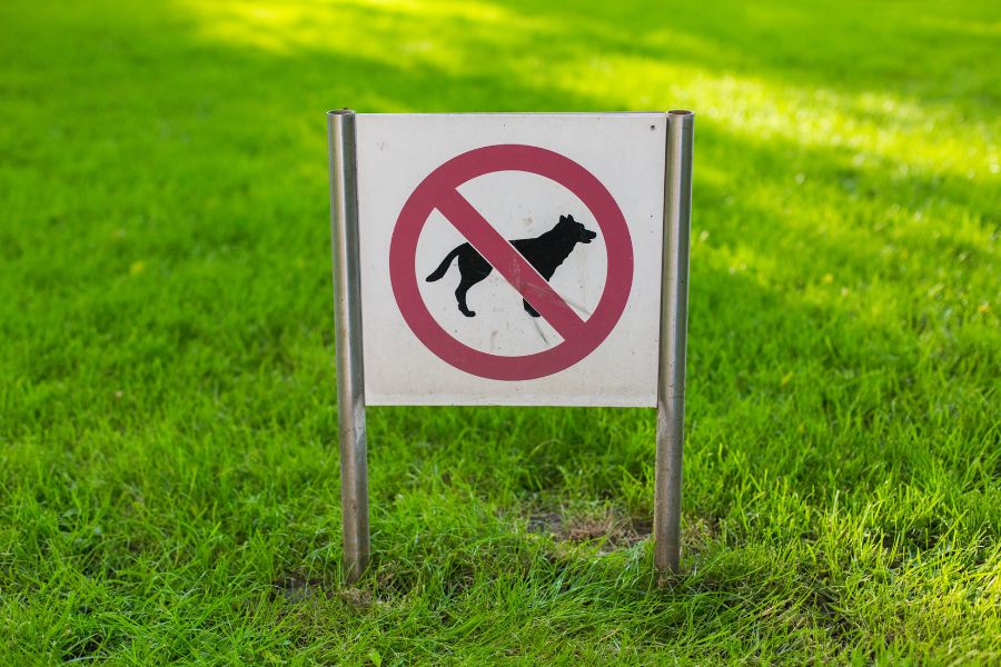 Texas Pet Laws and Regulations