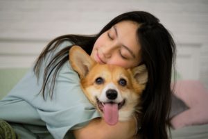 How to Form Good Habits with your Pets