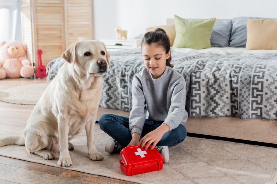 The Importance of Pet First Aid