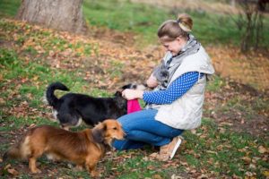 Finding the Perfect Pet Sitter for Long-Term Stays