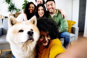 Managing Your Pet’s Stress During Gatherings and Festivities