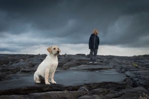 Storm Safety for Pets