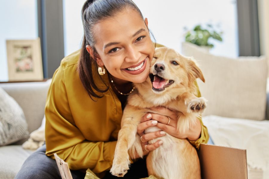 Rewarding Pets Without Treats 