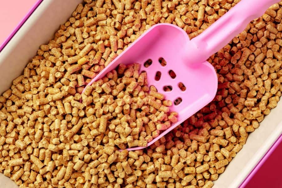 Cat litter with pink scoop in a litter box, ideal for pet care and cleanliness.