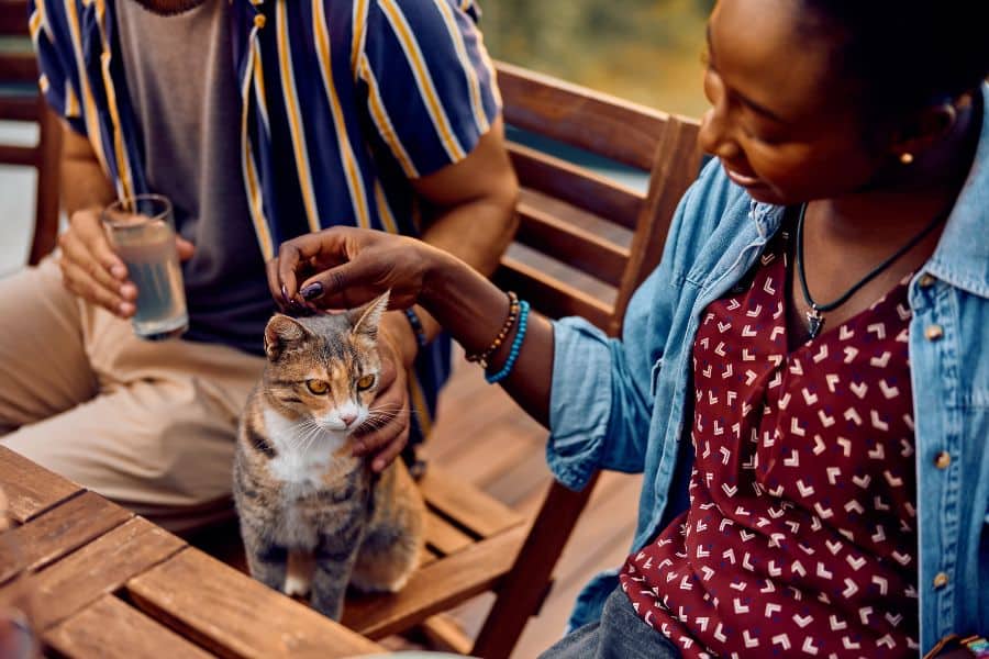 Woman petting a cat with children sitting nearby outdoors.
