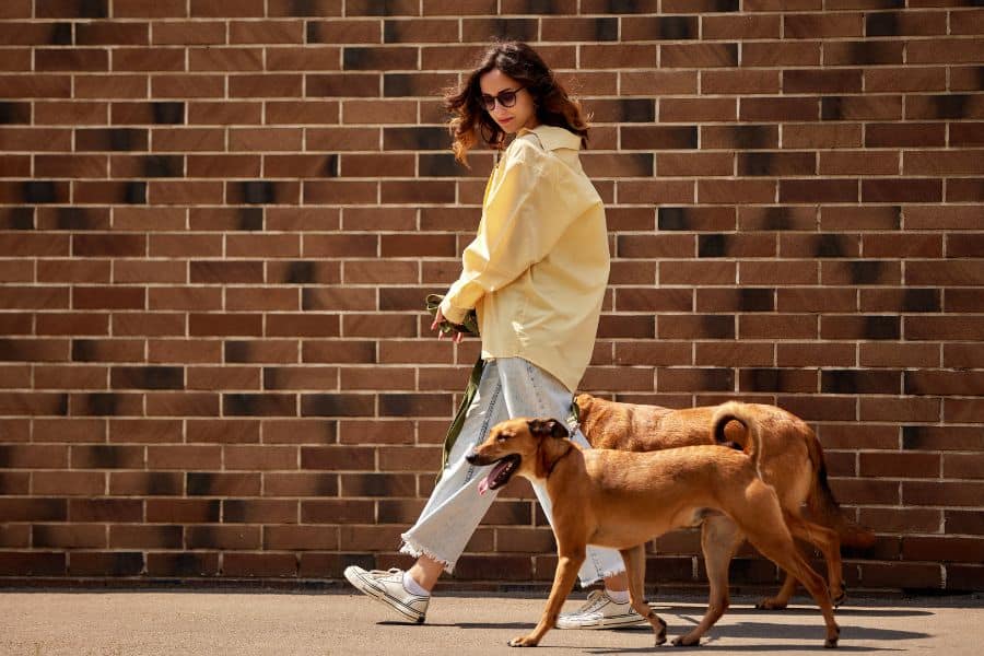 Woman walking her dog along a city sidewalk, showcasing trusted pet care services.