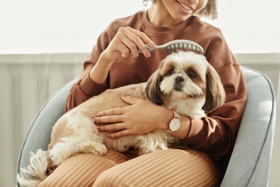 Managing Heavy Pet Shedding