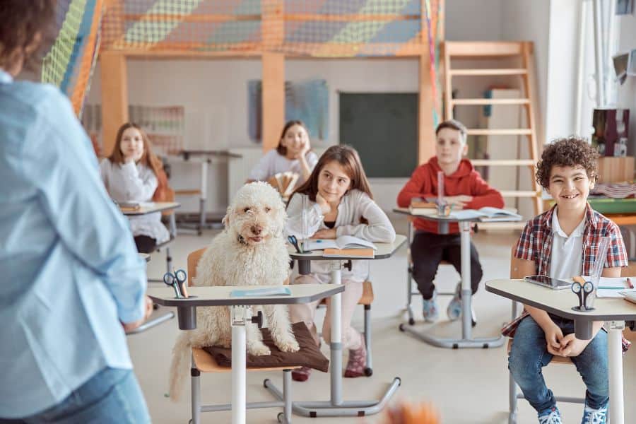 Childcare classroom with children and a therapy dog, promoting a positive learning environment.