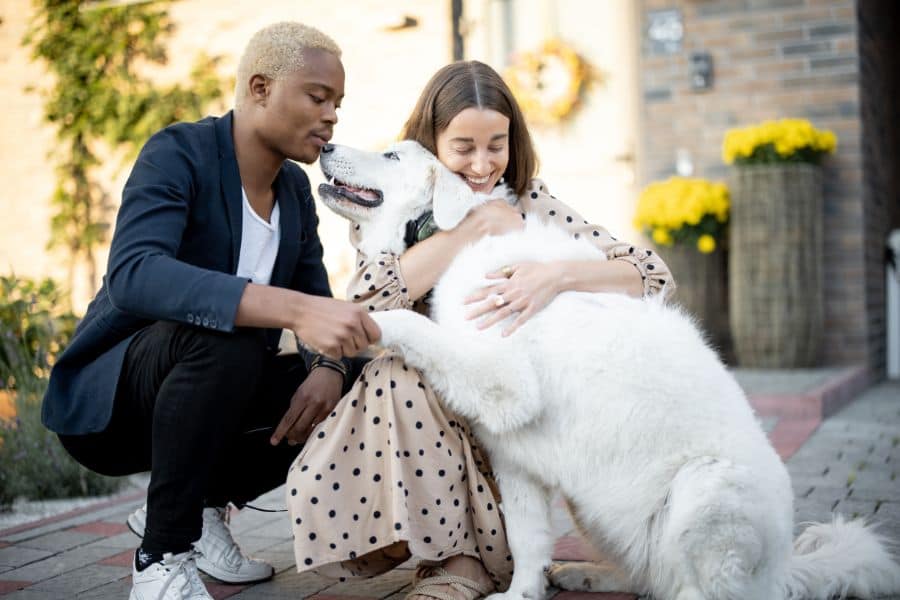 Happy children with a large white dog outdoors, showcasing trust and companionship.