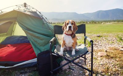 Five Essential Hiking and Camping Safety Tips