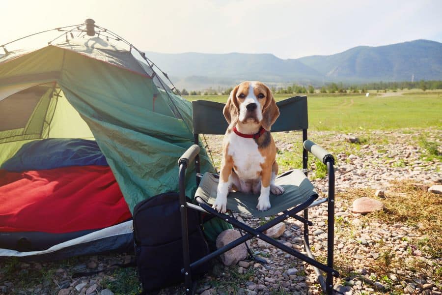 Five Essential Hiking and Camping Safety Tips