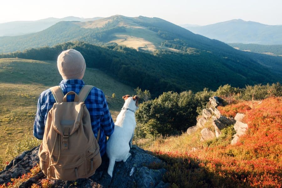 Child with backpack and dog enjoying mountain trail adventure.