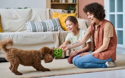 How to Keep Your Pets Active as the Days Get Shorter