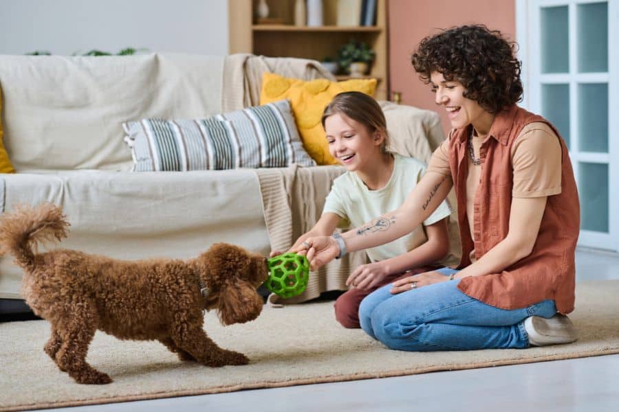 How to Keep Your Pets Active as the Days Get Shorter