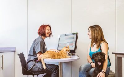 Pet Insurance: Is It Worth It?