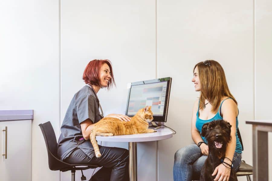 Pet Insurance: Is It Worth It?