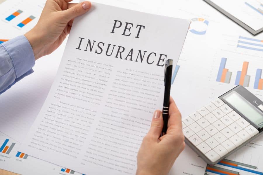Pet insurance paperwork with charts and calculator for pet care coverage.