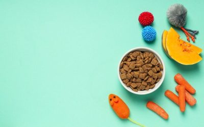 How to Pick the Best Pet Food for Your Pet