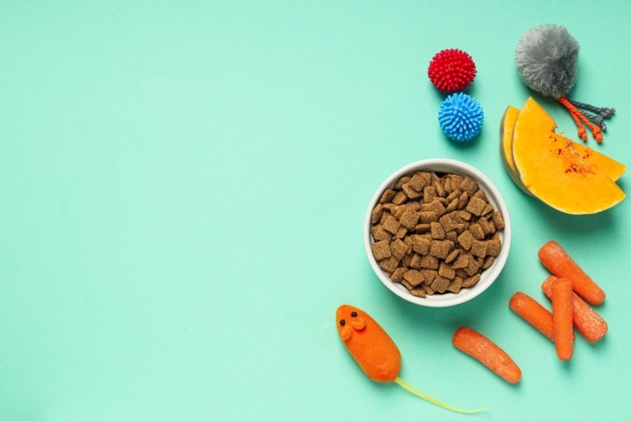 How to Pick the Best Pet Food for Your Pet