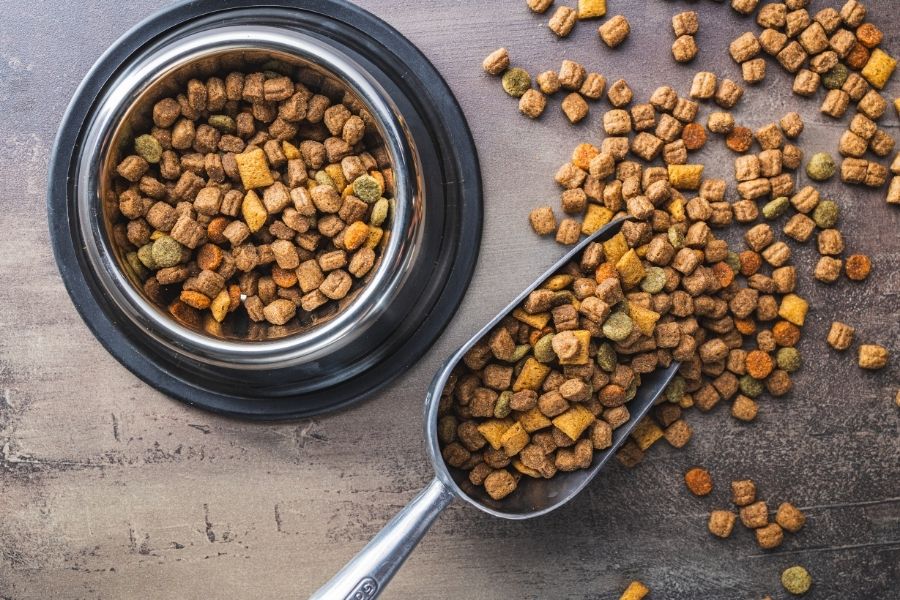 How to Pick the Best Pet Food for Your Pet