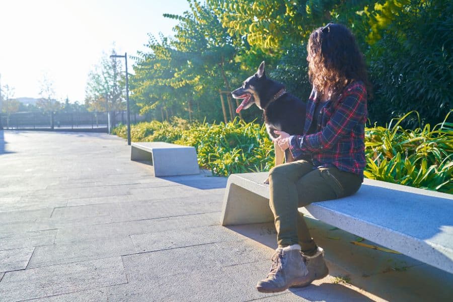 How Much Does a Dog Walker Cost in Austin?