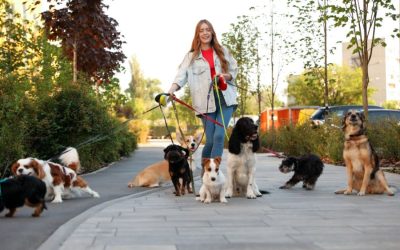 The Best Dog Walking Spots in and Around Austin, Texas